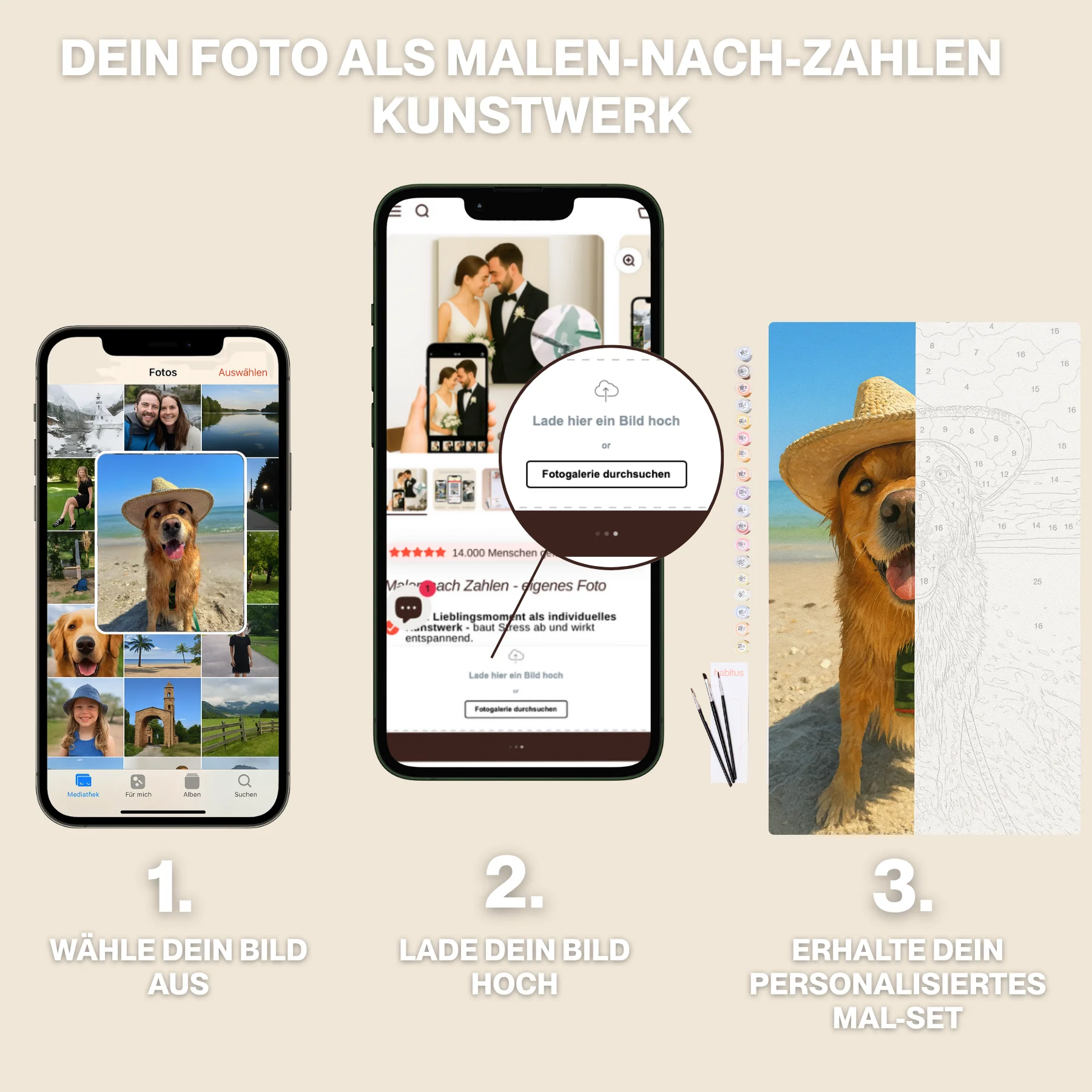 Vorschaubild 1